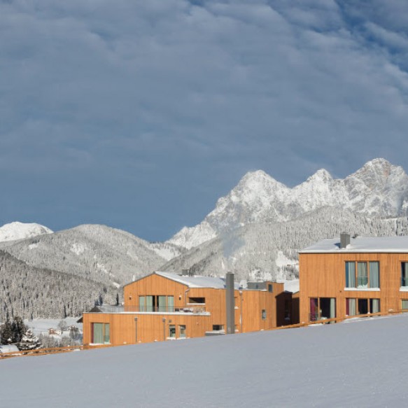 Rittis Alpin Chalet Ramsau am Dachstein